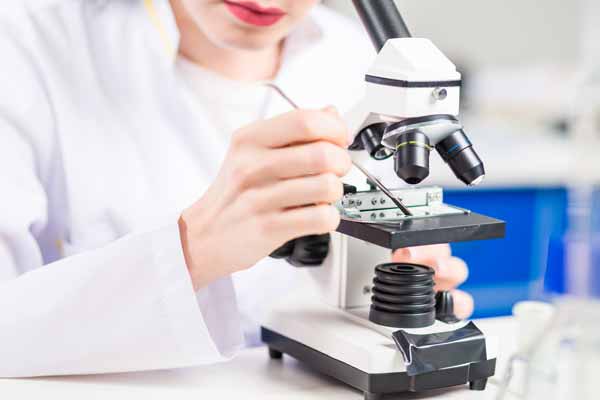 九州大学大学院、農学研究院で共同研究